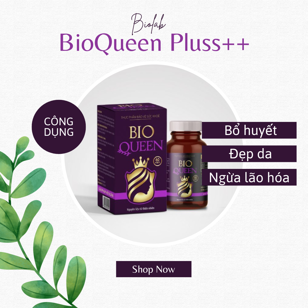 BioQueen Pluss++ giúp bổ huyết