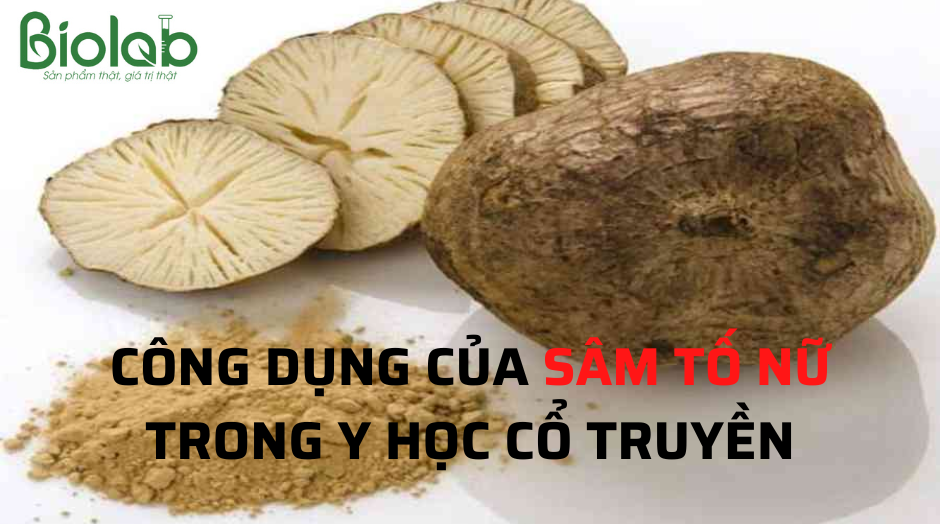 Công dụng của sâm tố nữ trong y học cổ truyền