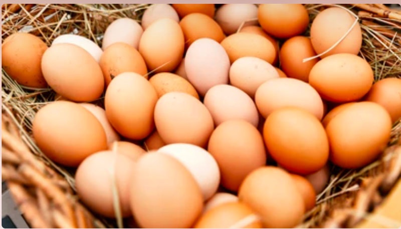 Trứng gà - thực phẩm giàu dinh dưỡng cải thiện nội tiết tố nữ
